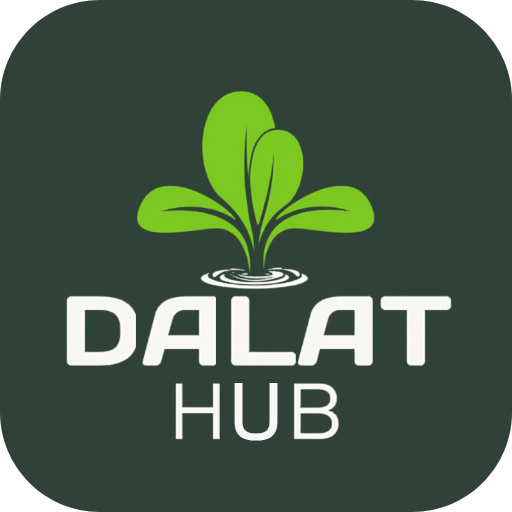 DalatHub – Travel Services